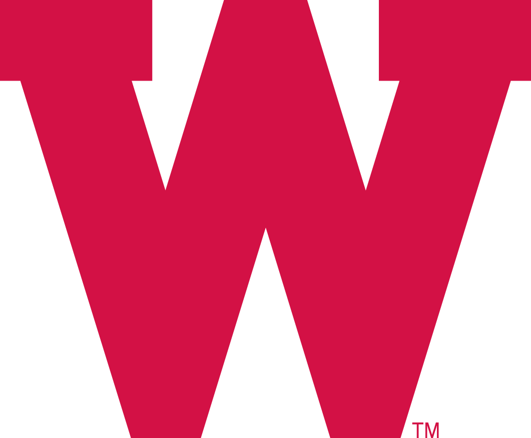 Wisconsin Badgers 1970-1990 Primary Logo iron on paper